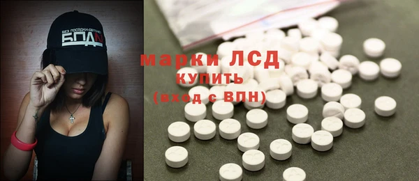 apvp Магас