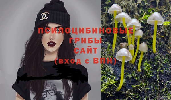 соль ск Алексеевка
