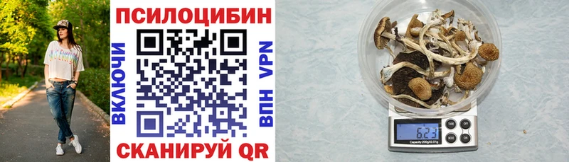 купить  цена  Южно-Сахалинск  Галлюциногенные грибы Psilocybe 