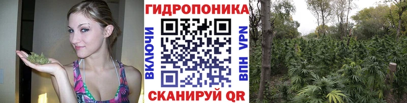 это наркотические препараты  Южно-Сахалинск  Бошки марихуана индика 
